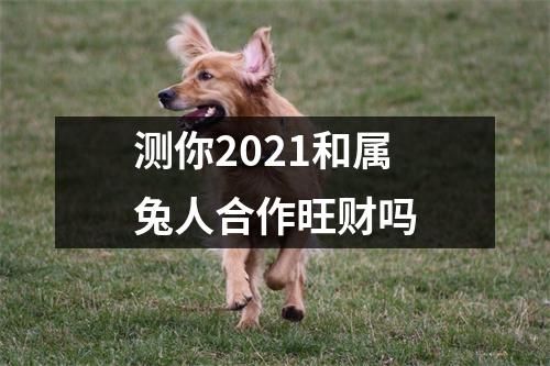 测你2025和属兔人合作旺财吗