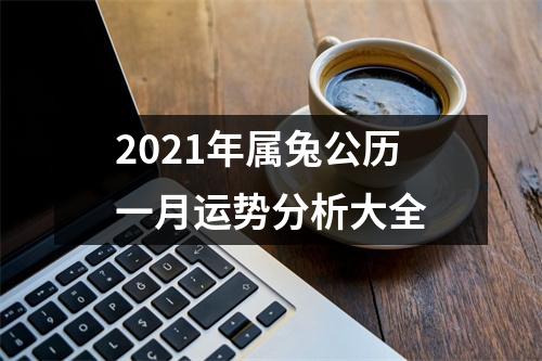 2025年属兔公历一月运势分析大全