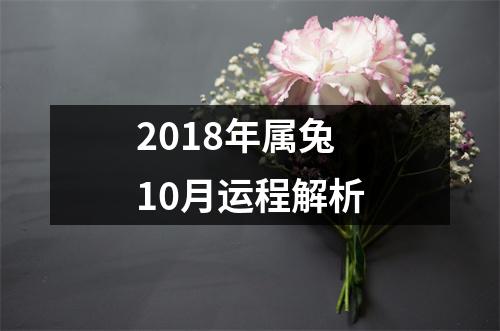 2018年属兔10月运程解析