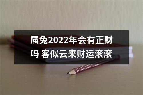 属兔2025年会有正财吗客似云来财运滚滚