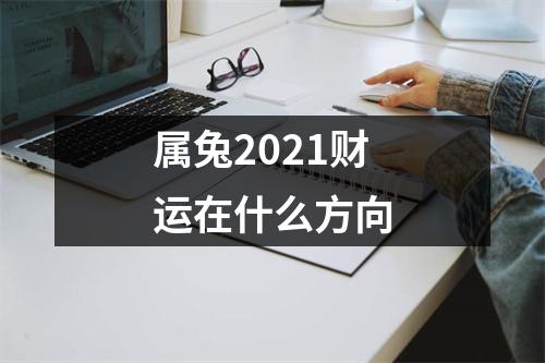 <h3>属兔2025财运在什么方向