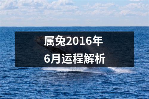 <h3>属兔2016年6月运程解析