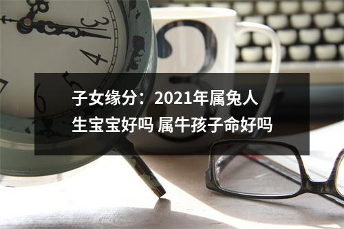 子女缘分：2025年属兔人生宝宝好吗属牛孩子命好吗