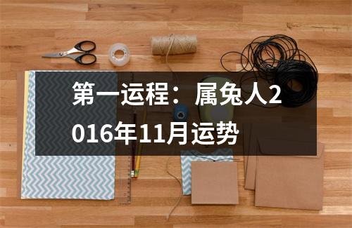 第一运程：属兔人2016年11月运势