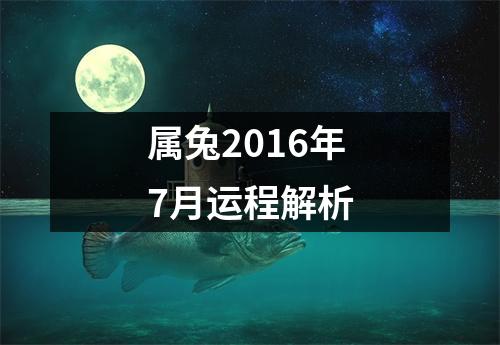 属兔2016年7月运程解析