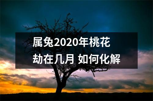 属兔2025年桃花劫在几月如何化解