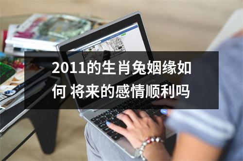 2011的生肖兔姻缘如何将来的感情顺利吗