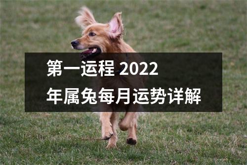 第一运程2025年属兔每月运势详解