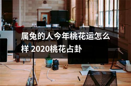 属兔的人今年桃花运怎么样2025桃花占卦