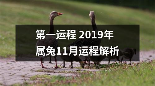 <h3>第一运程2019年属兔11月运程解析