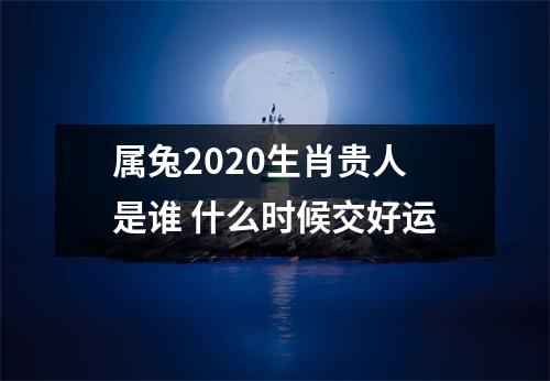 属兔2025生肖贵人是谁什么时候交好运