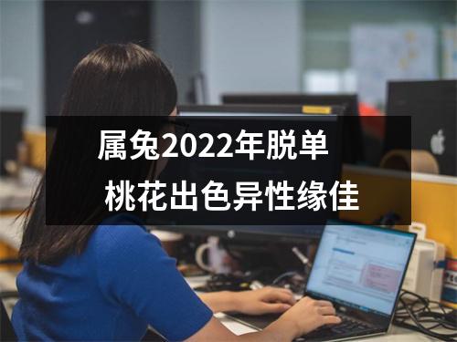 属兔2025年脱单桃花出色异性缘佳