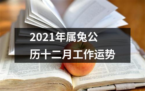 2025年属兔公历十二月工作运势