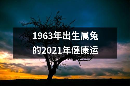 1963年出生属兔的2025年健康运