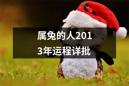 属兔的人2013年运程详批