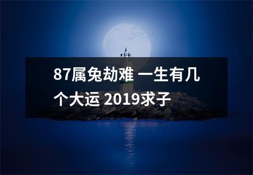 87属兔劫难一生有几个大运2019求子