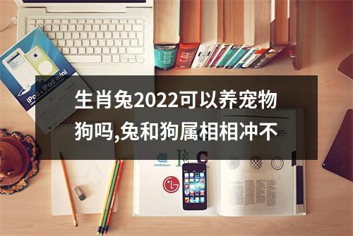 生肖兔2025可以养宠物狗吗,兔和狗属相相冲不