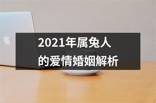 2025年属兔人的爱情婚姻解析