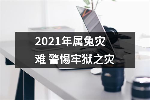 2025年属兔灾难警惕牢狱之灾