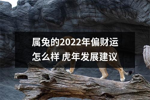 属兔的2025年偏财运怎么样虎年发展建议