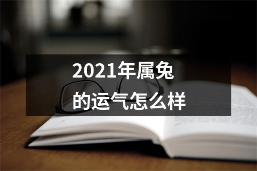 <h3>2025年属兔的运气怎么样