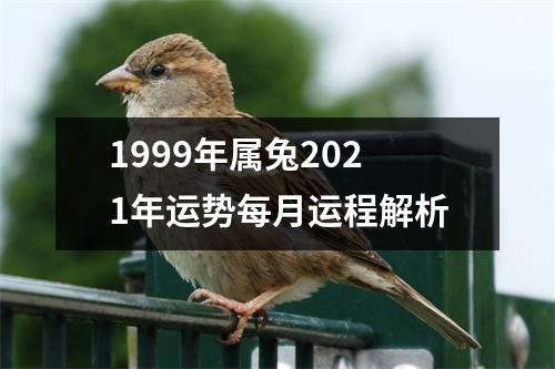 1999年属兔2025年运势每月运程解析