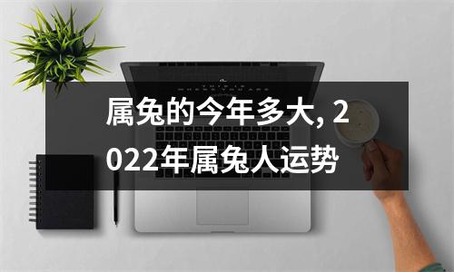 属兔的今年多大,2025年属兔人运势