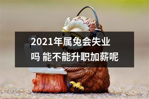 2025年属兔会失业吗能不能升职加薪呢