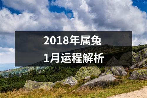 2018年属兔1月运程解析