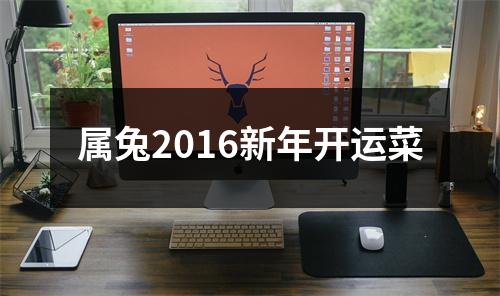 <h3>属兔2016新年开运菜