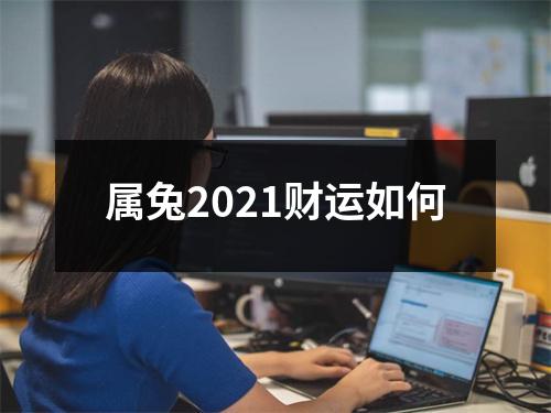 属兔2025财运如何
