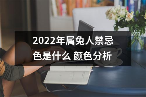 2025年属兔人禁忌色是什么颜色分析