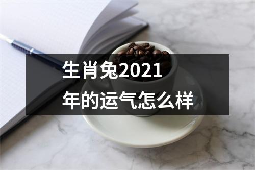 生肖兔2025年的运气怎么样