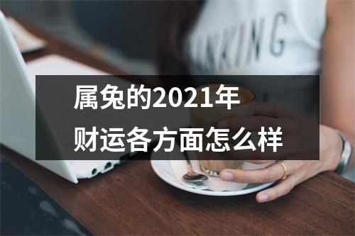属兔的2025年财运各方面怎么样