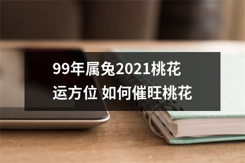 99年属兔2025桃花运方位如何催旺桃花