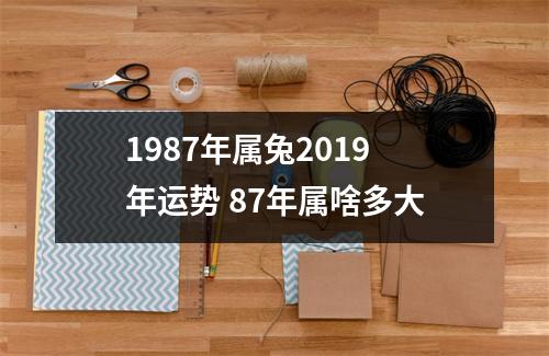1987年属兔2019年运势87年属啥多大