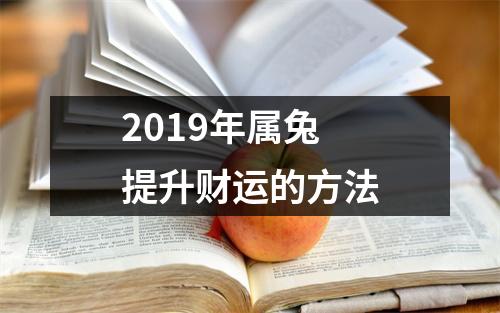 2019年属兔提升财运的方法