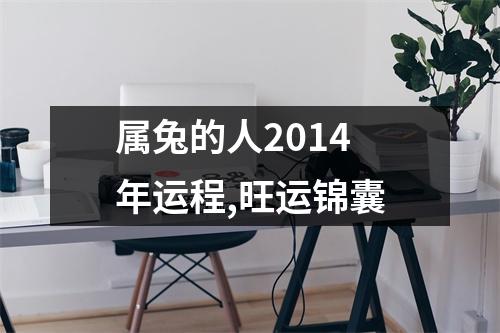 属兔的人2014年运程,旺运锦囊