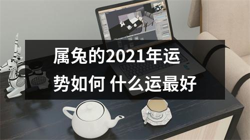 <h3>属兔的2025年运势如何什么运好