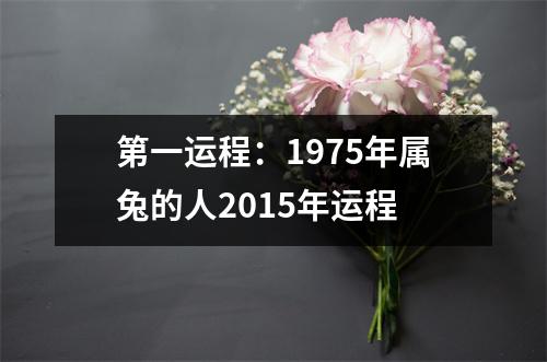 <h3>第一运程：1975年属兔的人2015年运程
