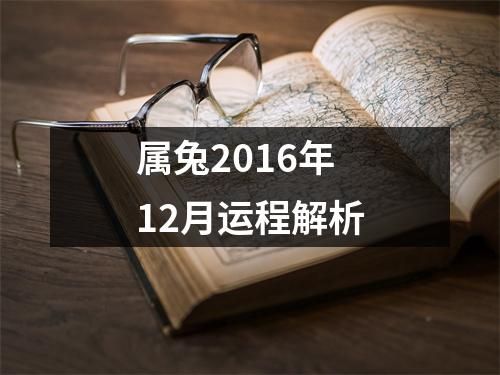 属兔2016年12月运程解析
