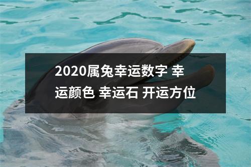 2025属兔幸运数字幸运颜色幸运石开运方位