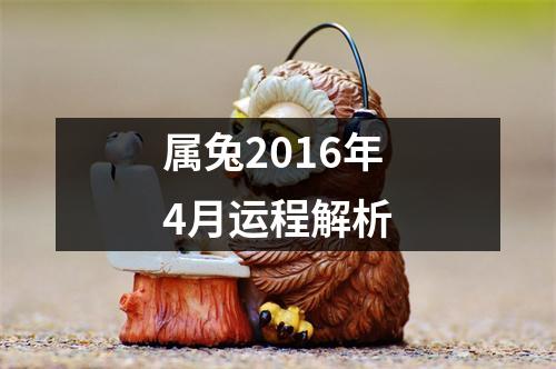 属兔2016年4月运程解析
