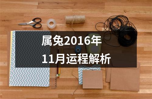 属兔2016年11月运程解析