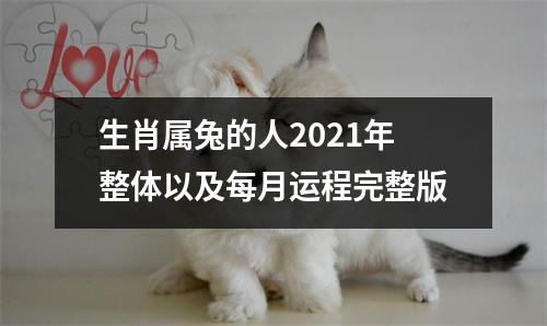生肖属兔的人2025年整体以及每月运程完整版