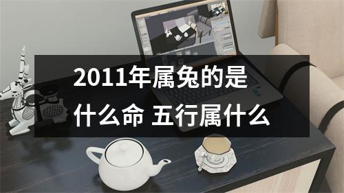 <h3>2011年属兔的是什么命五行属什么