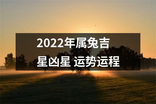 2025年属兔吉星凶星运势运程