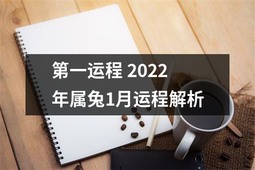 第一运程2025年属兔1月运程解析