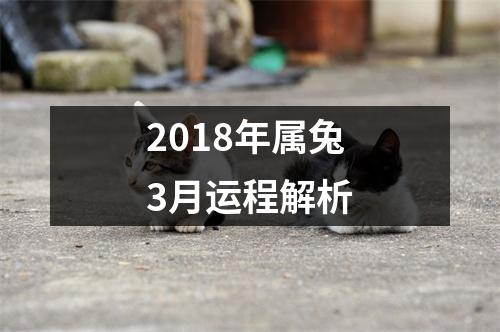 2018年属兔3月运程解析