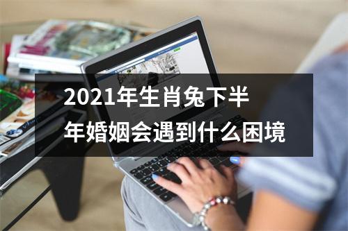 2025年生肖兔下半年婚姻会遇到什么困境